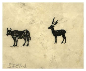 Visualizza l'immagine "FD D 1572"